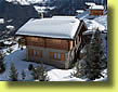 vue chalet